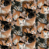 Premium Anti-Pill Sleepy Kittens Fleece F1458